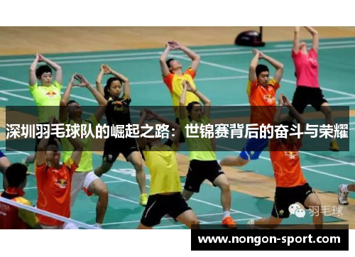 深圳羽毛球队的崛起之路：世锦赛背后的奋斗与荣耀