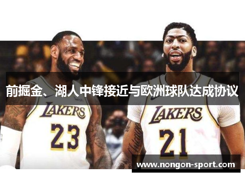前掘金、湖人中锋接近与欧洲球队达成协议
